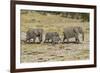 Africa, Namibia, Etosha National Park. Family of elephants walking-Hollice Looney-Framed Photographic Print