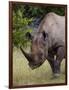 Africa, Namibia, Etosha National Park. Head and Shoulders of Rhinoceros-Jaynes Gallery-Framed Photographic Print