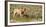 Africa, Namibia, Etosha National Park. Lion Roars over Carcass of Wildebeest-Jaynes Gallery-Framed Photographic Print