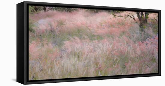Africa, Namibia, Etosha National Park. Red Grasses Moving in the Wind-Jaynes Gallery-Framed Stretched Canvas