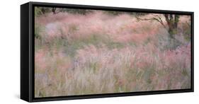 Africa, Namibia, Etosha National Park. Red Grasses Moving in the Wind-Jaynes Gallery-Framed Stretched Canvas