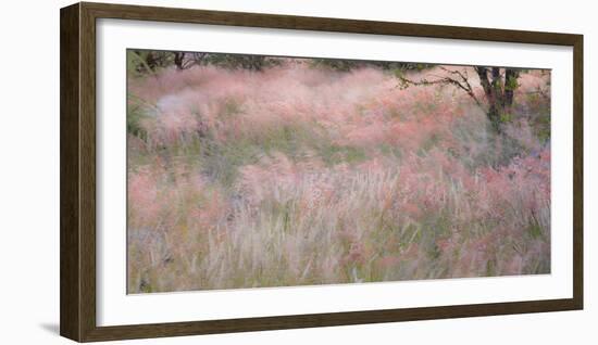 Africa, Namibia, Etosha National Park. Red Grasses Moving in the Wind-Jaynes Gallery-Framed Photographic Print