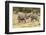 Africa, Namibia, Etosha National Park. Young elephants playing-Hollice Looney-Framed Photographic Print