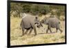 Africa, Namibia, Etosha National Park. Young elephants playing-Hollice Looney-Framed Photographic Print