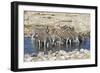 Africa, Namibia, Etosha National Park, Zebras at the Watering Hole-Hollice Looney-Framed Photographic Print