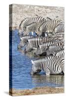 Africa, Namibia, Etosha National Park. Zebras at the watering hole-Hollice Looney-Stretched Canvas