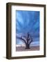 Africa, Namibia, Hardap region. A romantic sunset.-Catherina Unger-Framed Photographic Print