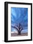 Africa, Namibia, Hardap region. A romantic sunset.-Catherina Unger-Framed Photographic Print