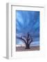 Africa, Namibia, Hardap region. A romantic sunset.-Catherina Unger-Framed Photographic Print