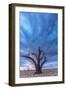 Africa, Namibia, Hardap region. A romantic sunset.-Catherina Unger-Framed Photographic Print