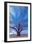 Africa, Namibia, Hardap region. A romantic sunset.-Catherina Unger-Framed Photographic Print