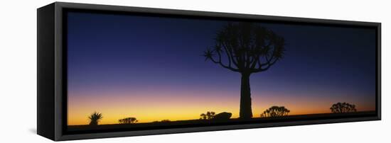 Africa, Namibia, Kokerboom Preserve, Quiver Tree-null-Framed Stretched Canvas