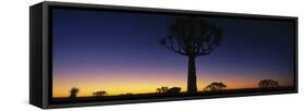 Africa, Namibia, Kokerboom Preserve, Quiver Tree-null-Framed Stretched Canvas