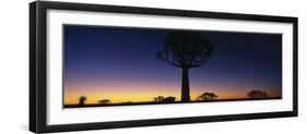 Africa, Namibia, Kokerboom Preserve, Quiver Tree-null-Framed Photographic Print