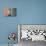 Africa, Namibia, Kolmanskop. Interior of Deserted Home-Jaynes Gallery-Photographic Print displayed on a wall