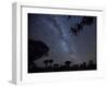 Africa, Namibia. Milky Way and Quiver Trees at Night-Jaynes Gallery-Framed Photographic Print