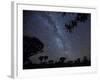 Africa, Namibia. Milky Way and Quiver Trees at Night-Jaynes Gallery-Framed Photographic Print