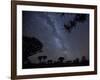 Africa, Namibia. Milky Way and Quiver Trees at Night-Jaynes Gallery-Framed Photographic Print