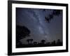 Africa, Namibia. Milky Way and Quiver Trees at Night-Jaynes Gallery-Framed Photographic Print