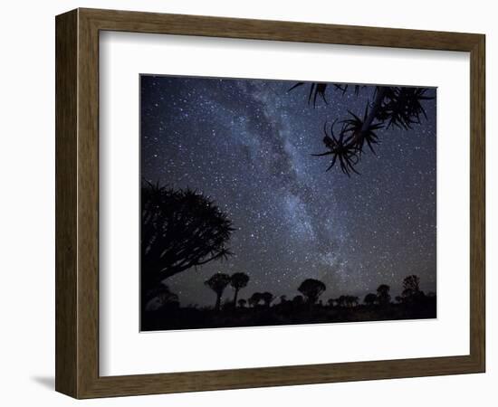 Africa, Namibia. Milky Way and Quiver Trees at Night-Jaynes Gallery-Framed Photographic Print