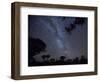 Africa, Namibia. Milky Way and Quiver Trees at Night-Jaynes Gallery-Framed Photographic Print