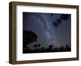 Africa, Namibia. Milky Way and Quiver Trees at Night-Jaynes Gallery-Framed Photographic Print