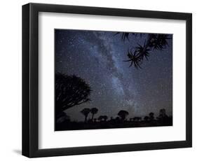 Africa, Namibia. Milky Way and Quiver Trees at Night-Jaynes Gallery-Framed Photographic Print