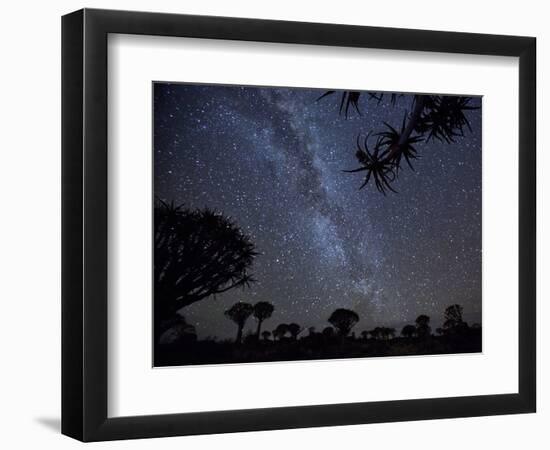 Africa, Namibia. Milky Way and Quiver Trees at Night-Jaynes Gallery-Framed Photographic Print