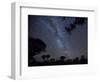 Africa, Namibia. Milky Way and Quiver Trees at Night-Jaynes Gallery-Framed Photographic Print