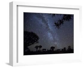 Africa, Namibia. Milky Way and Quiver Trees at Night-Jaynes Gallery-Framed Photographic Print