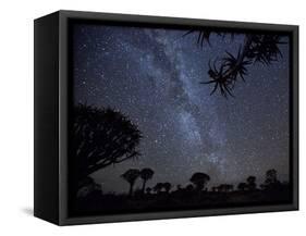 Africa, Namibia. Milky Way and Quiver Trees at Night-Jaynes Gallery-Framed Stretched Canvas