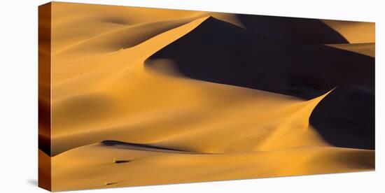 Africa, Namibia, Namib-Naukluft National Park. Abstract of Sand Dune-Jaynes Gallery-Stretched Canvas