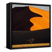 Africa, Namibia, Namib Naukluft National Park. Abstract of Sand Dune-Jaynes Gallery-Framed Stretched Canvas