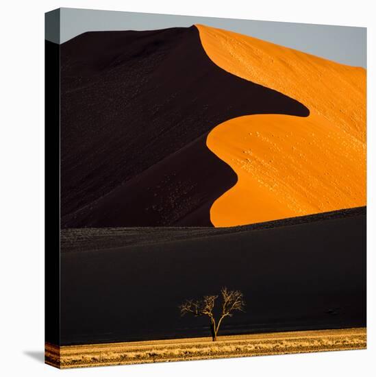 Africa, Namibia, Namib Naukluft National Park. Abstract of Sand Dune-Jaynes Gallery-Stretched Canvas