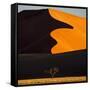 Africa, Namibia, Namib Naukluft National Park. Abstract of Sand Dune-Jaynes Gallery-Framed Stretched Canvas