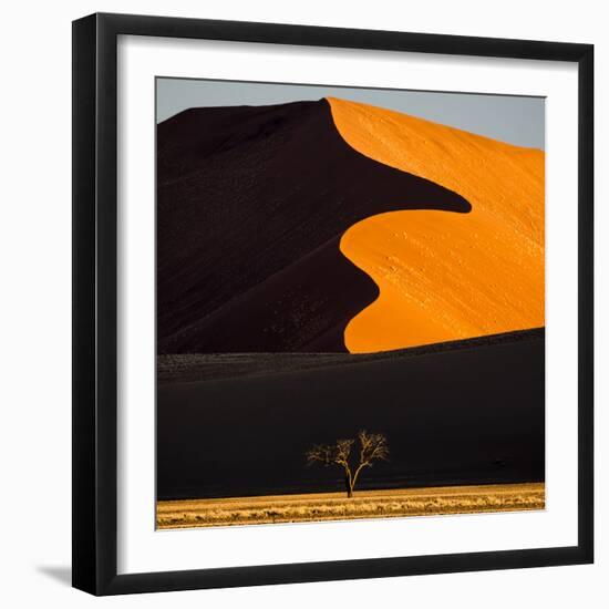 Africa, Namibia, Namib Naukluft National Park. Abstract of Sand Dune-Jaynes Gallery-Framed Premium Photographic Print