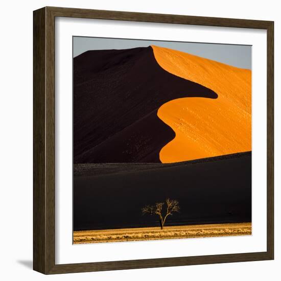 Africa, Namibia, Namib Naukluft National Park. Abstract of Sand Dune-Jaynes Gallery-Framed Photographic Print