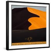 Africa, Namibia, Namib Naukluft National Park. Abstract of Sand Dune-Jaynes Gallery-Framed Photographic Print