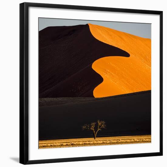 Africa, Namibia, Namib Naukluft National Park. Abstract of Sand Dune-Jaynes Gallery-Framed Photographic Print