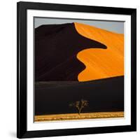 Africa, Namibia, Namib Naukluft National Park. Abstract of Sand Dune-Jaynes Gallery-Framed Photographic Print