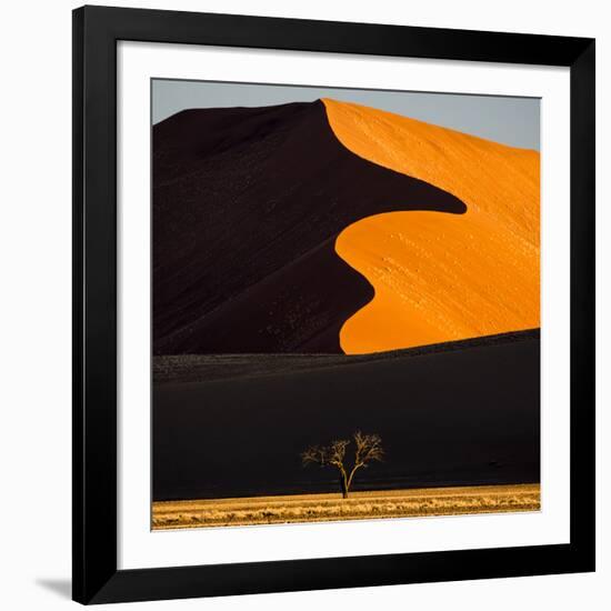 Africa, Namibia, Namib Naukluft National Park. Abstract of Sand Dune-Jaynes Gallery-Framed Photographic Print