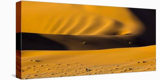 Africa, Namibia, Namib Naukluft National Park. Abstract of Sand Dune-Jaynes Gallery-Stretched Canvas