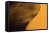 Africa, Namibia, Namib Naukluft National Park. Blowing Sand on Dune-Jaynes Gallery-Framed Stretched Canvas