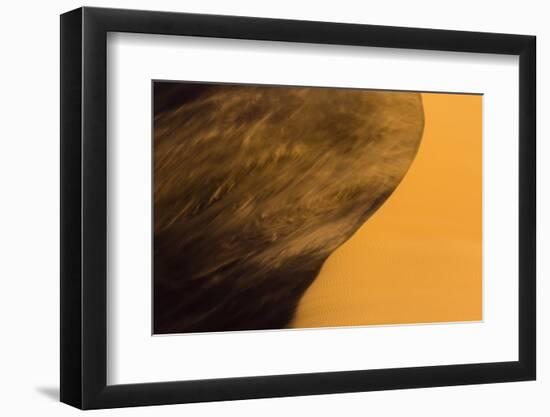 Africa, Namibia, Namib Naukluft National Park. Blowing Sand on Dune-Jaynes Gallery-Framed Photographic Print