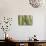 Africa, Namibia, Omaruru, Cacti, Detail-Rainer Mirau-Stretched Canvas displayed on a wall