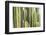 Africa, Namibia, Omaruru, Cacti, Detail-Rainer Mirau-Framed Photographic Print