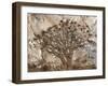 Africa, Namibia. Quiver tree and bark photo montage.-Jaynes Gallery-Framed Photographic Print