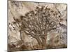 Africa, Namibia. Quiver tree and bark photo montage.-Jaynes Gallery-Mounted Photographic Print