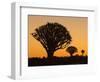 Africa, Namibia. Quiver Trees at Twilight-Jaynes Gallery-Framed Photographic Print