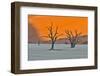 Africa, Namibia, Sossusvlei. Dead Acacia Trees in the White Clay Pan at Deadvlei in the Morning Lig-Hollice Looney-Framed Photographic Print